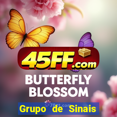 Grupo de Sinais Roleta whatsapp